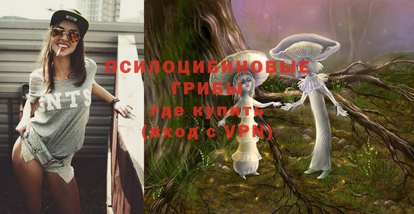таблы Армянск