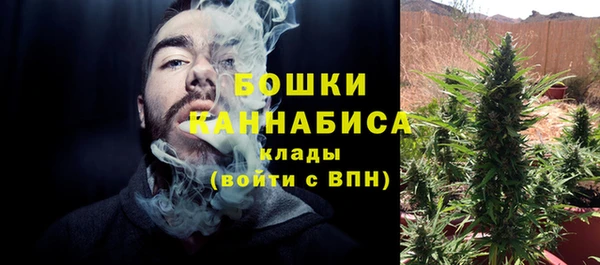 спайс Аркадак