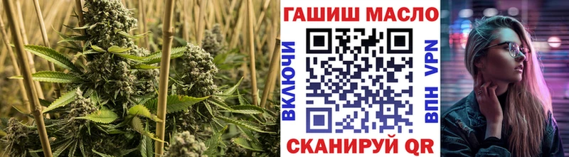omg зеркало  Онега  ТГК Wax  где можно купить  