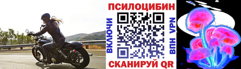 купить   Онега  ссылка на мегу маркетплейс  Псилоцибиновые грибы Psilocybine cubensis 