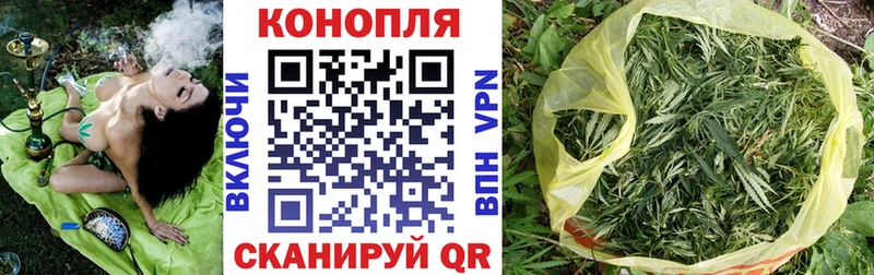 как найти закладки  Онега  Каннабис ГИДРОПОН 